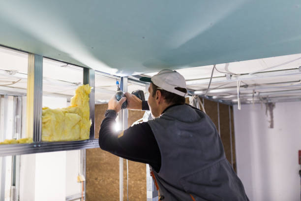 Best Insulation Contractors for Homes  in Selmont West Selmont, AL