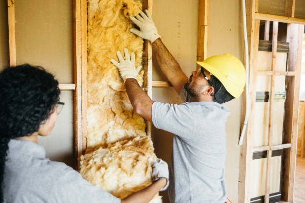 Best Insulation Replacement Services  in Selmont West Selmont, AL