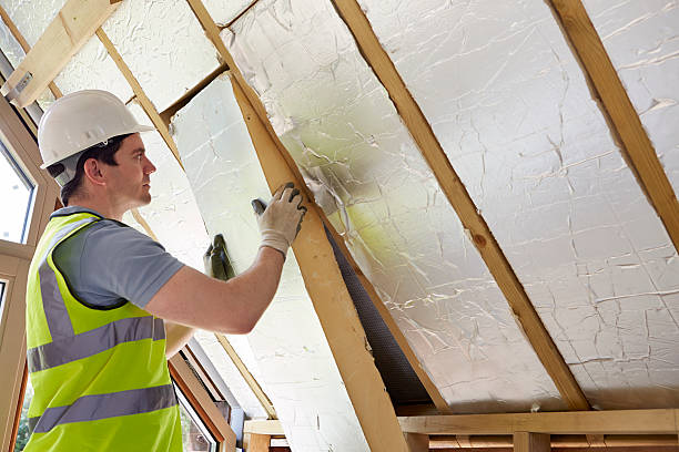 Best Home Insulation Services  in Selmont West Selmont, AL